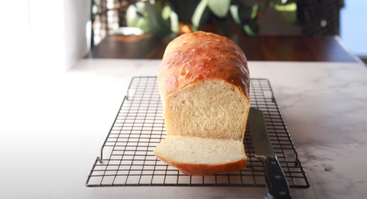 Sandwich sourdough bread recipe