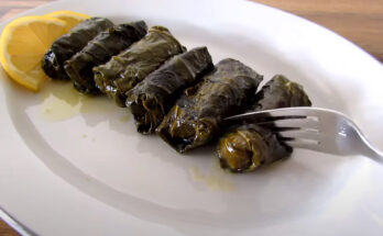 Best Dolma