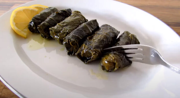 Best Dolma