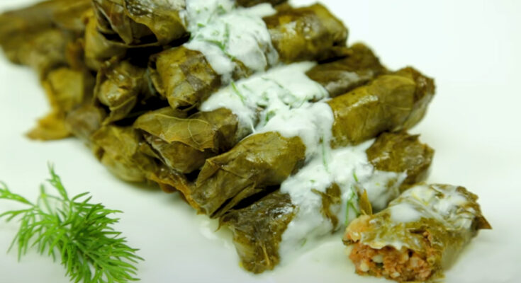 Armenian dolma recipe